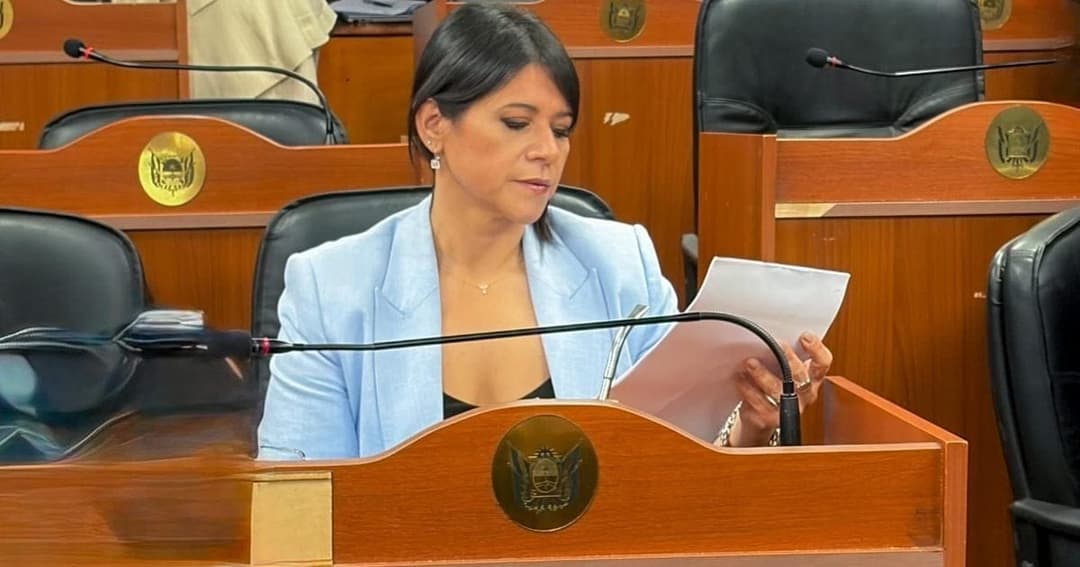 La diputada Herrera propone eliminar impuestos para la construcción en Catamarca