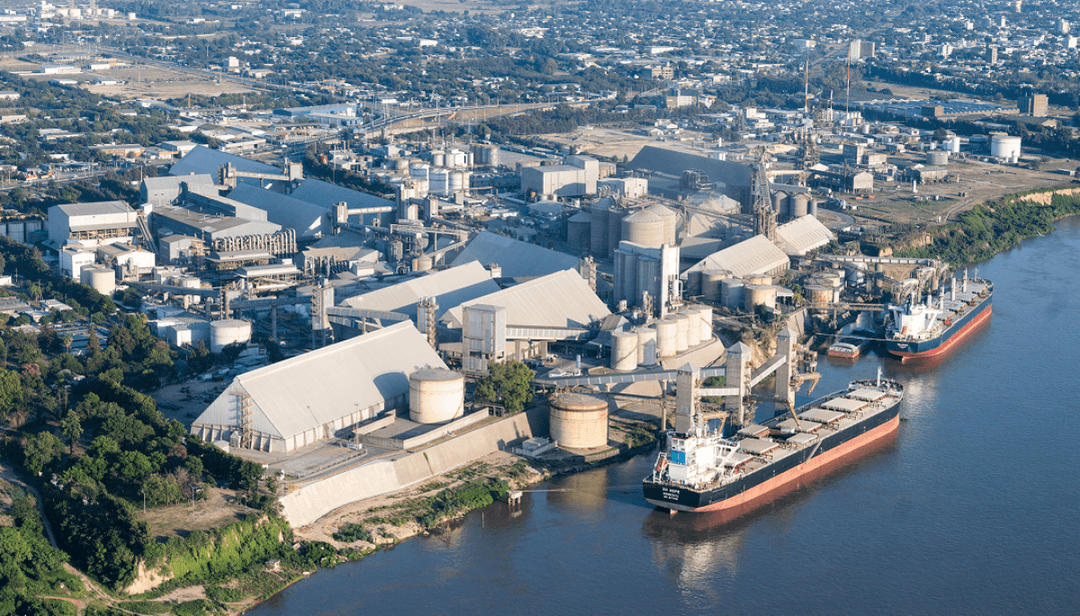 Molinos Agro y ACA invertirán USD 500M en una planta de soja
